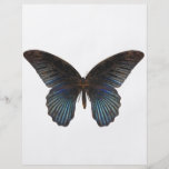 BlueSwallowTail Butterfly Flyer