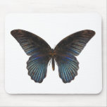 BlueSwallowTail Butterfly Mouse Pads
