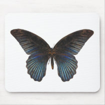 BlueSwallowTail Butterfly Mouse Pads