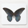 BlueSwallowTail Butterfly Mouse Pads