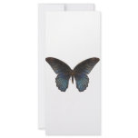BlueSwallowTail Butterfly Custom Rack Cards