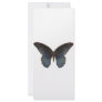 BlueSwallowTail Butterfly Custom Rack Cards