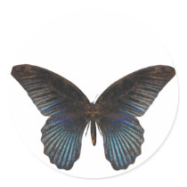 BlueSwallowTail Butterfly Stickers