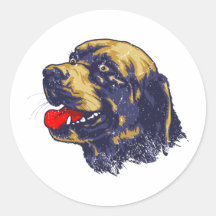 Bluetick Coonhound Stickers