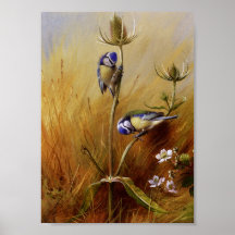 Bluetits On A Teasel Print