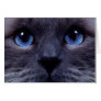 blueyes greeting card
