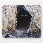 blueyes mouse mats