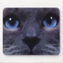 blueyes mouse pads