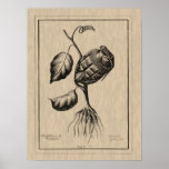 Blum de Explosive Posters