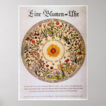 Blumenuhr   Flower Clock Poster