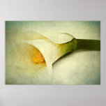 Blurred posters