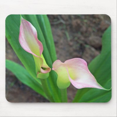 Blush Calla Lily Mouse Mats by slinky789