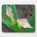 Blush Calla Lily mousepads
