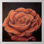 Blush - Canvas Print