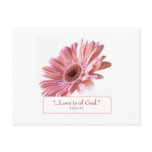 "Blush" Daisy Postcard