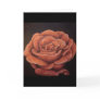 Blush - Greeting Card