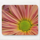 Blushing Daisy mousepads