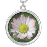 Blushing Daisy Necklace