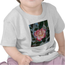 Blushing Delight Rose Infant T-shirts