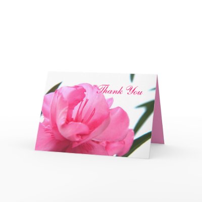 Blushing Pink - Thank You Cards by Heartworks