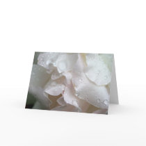 Blushing Rose Birthday Card