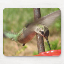 BN- Hummingbird Mousepad