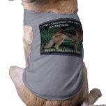 BNI K9 CAAN pet clothing