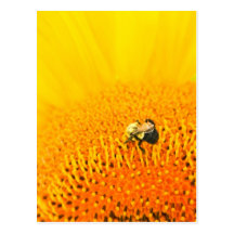 BNo2: Bee-licious Number 2 Postcards