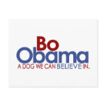 Bo Obama the Dog
