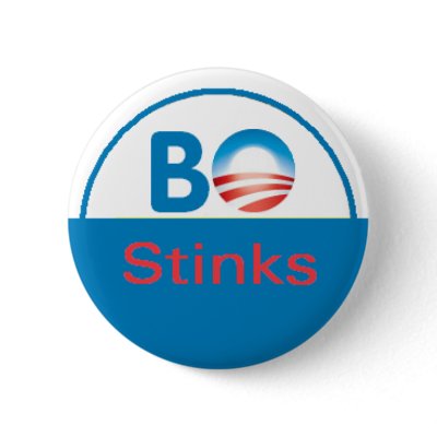 BO STINKSButton by samappleby