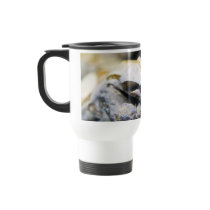 BOA AMAZONICA CONSTRICTOR TAZAS