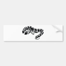 Boa Bumper Sticker