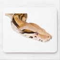Boa Constrictor mousepads
