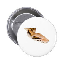 Boa Constrictor Pinback Buttons