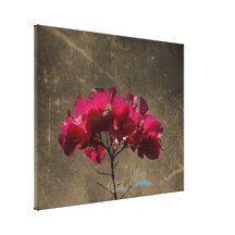 BOAN Bougainvillea Antique Gallery Wrap Canvas