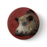boar buttons