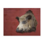 boar post card
