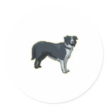 Boarder Collie,Png Sticker