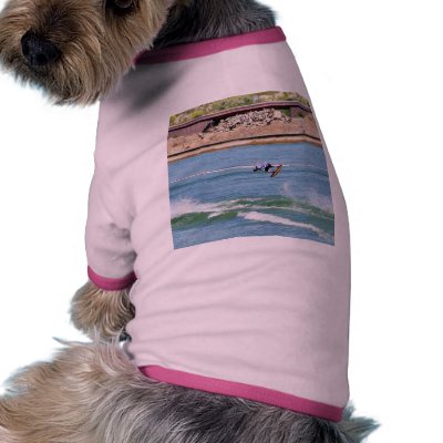 Boarding Water Surfing Dog Shirt by lifesphere