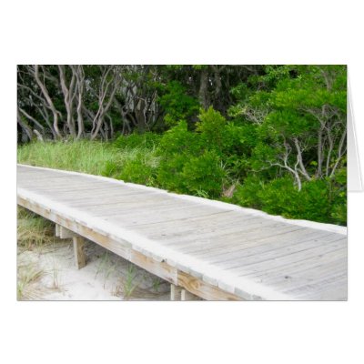 Boardwak at Davis Park Cards by CloseCards