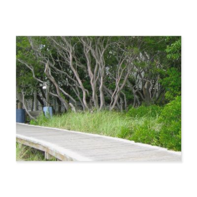 Boardwalk, Davis Park, Fire Island Postcard by CloseCards