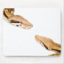 Boas Meeting Mouse Mats
