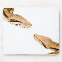 Boas Meeting mousepads