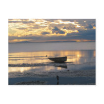 Boat and Heron Post Cards