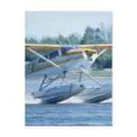 Boat Plane Postcards