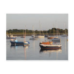 Boats at Renville Postcard
