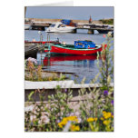 Boats docked in small harbour