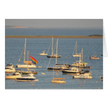 Boats in Provincetown Bay Card