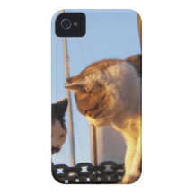 Boatyard Cats iPhone 4 Case-Mate Case