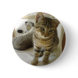 Bob Cat buttons